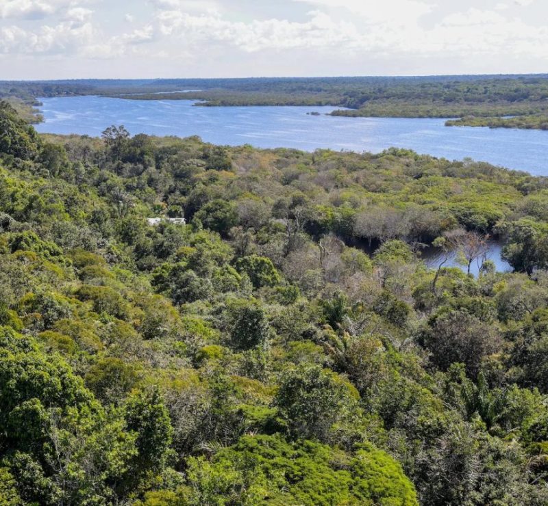 Amazônia tem 2.053 km² de desmatamento de janeiro a agosto