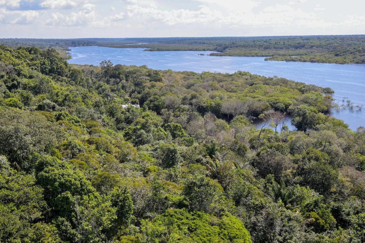 Amazônia tem 2.053 km² de desmatamento de janeiro a agosto