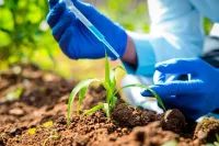 Brasil chega 46 milhões de hectares tratados com bioinsumos no 1º semestre