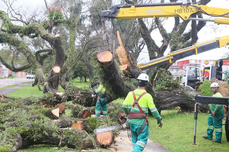 Chuva em Curitiba atinge 60% da média do mês em poucas horas