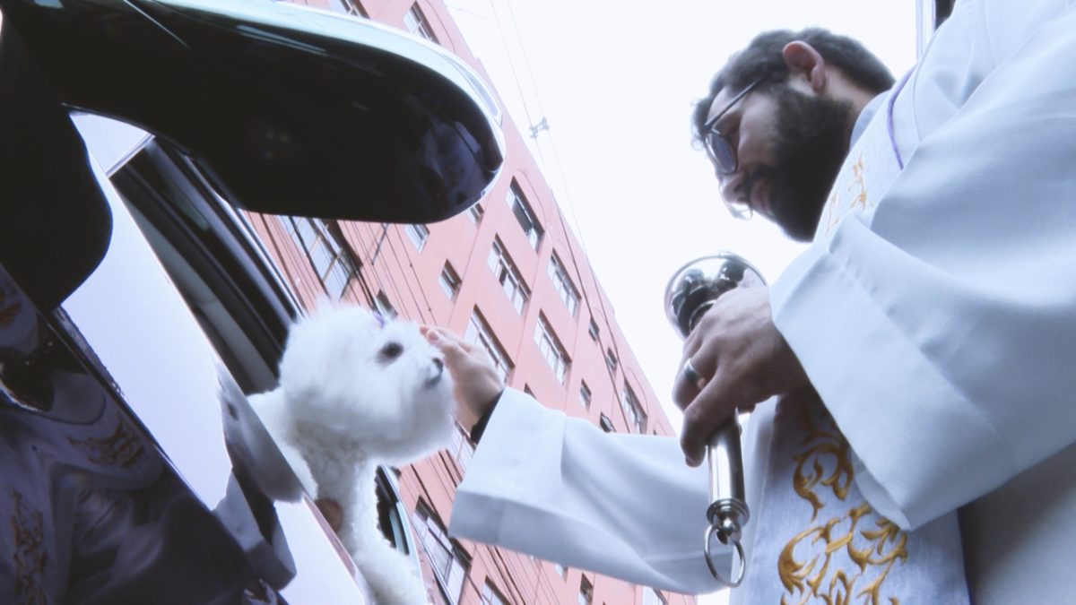 Curitiba terá bênção dos animais na sexta e no sábado
