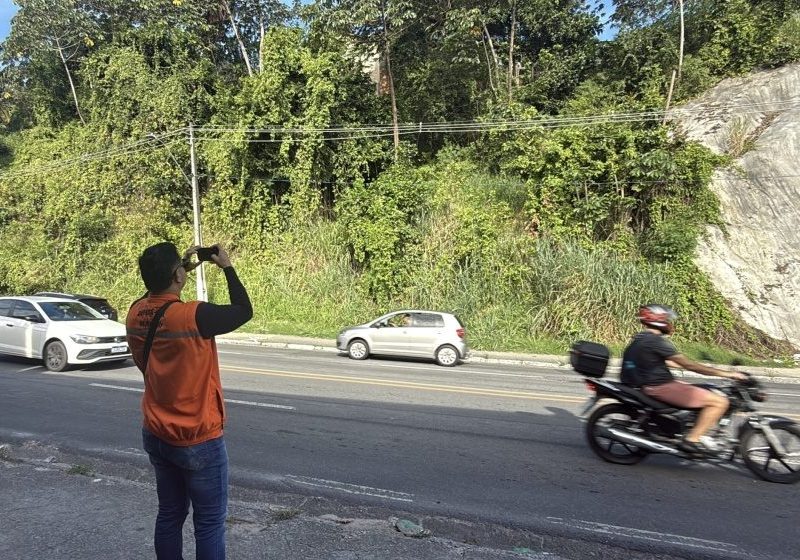 Defesa Civil de Maceió recomenda retirada de árvores em áreas de risco e próximas à rede elétrica