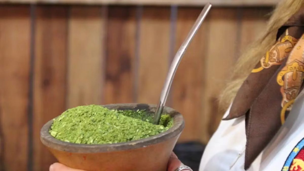 Dia do Gaúcho: erva-mate atravessa fronteiras, mantém raízes indígenas e tem até sommelier; saiba tudo sobre o chimarrão (até como prepará-lo)
