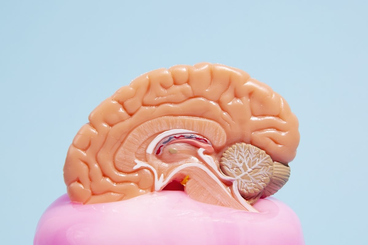 Estimulação cognitiva pode retardar perda de funções no Alzheimer