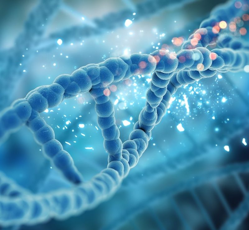 Falha em proteína do óvulo pode afetar embrião e aumentar mutações