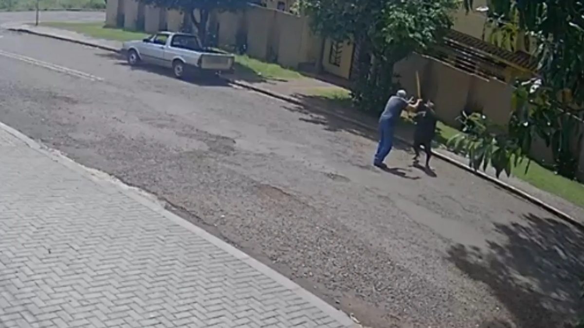 Idoso 'surpreende' criminoso tentando furtar carro no Paraná, corre atrás dele com pedaço de pau e é esfaqueado