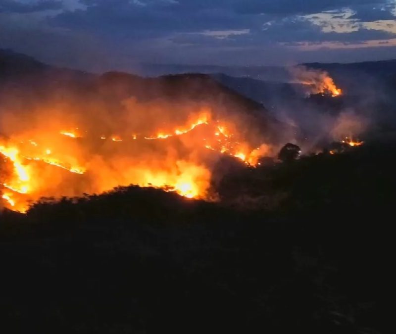 Incêndio florestal com linha de fogo de 15 km atinge serra em Goiás; vídeo