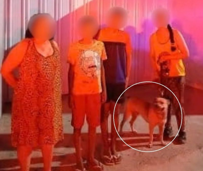 Latidos de cão de estimação ajudam bombeiros a localizar irmãos perdidos em mata no Ceará