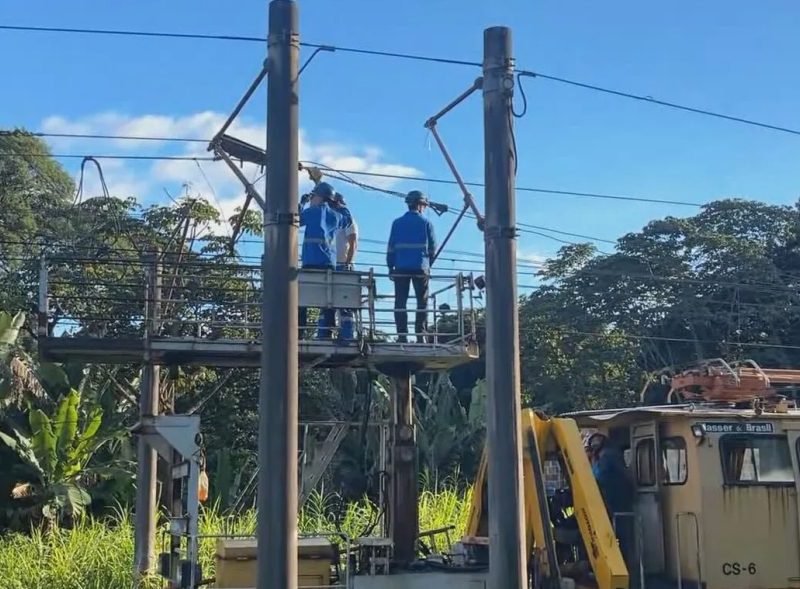 Linha Centro do Metrô do Recife fica sem funcionar após queda de árvore sobre rede elétrica