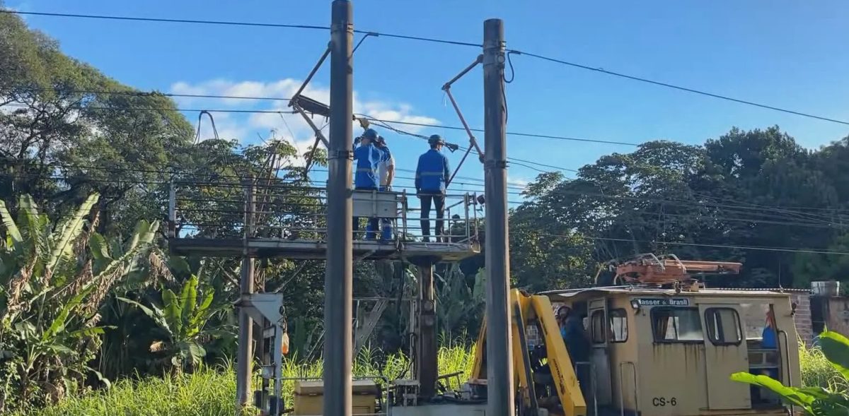 Linha Centro do Metrô do Recife fica sem funcionar após queda de árvore sobre rede elétrica