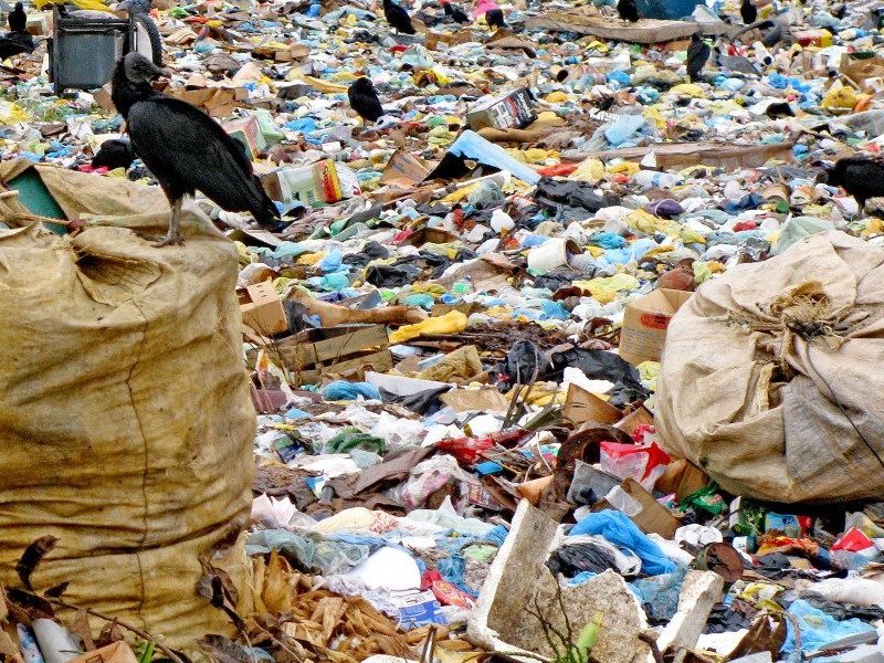 MP-BA cobra coleta seletiva em Salvador após descarte de 892 mil toneladas de lixo sem reciclagem