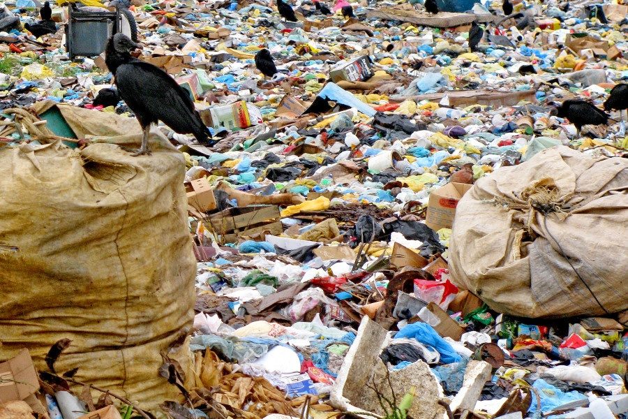 MP-BA cobra coleta seletiva em Salvador após descarte de 892 mil toneladas de lixo sem reciclagem