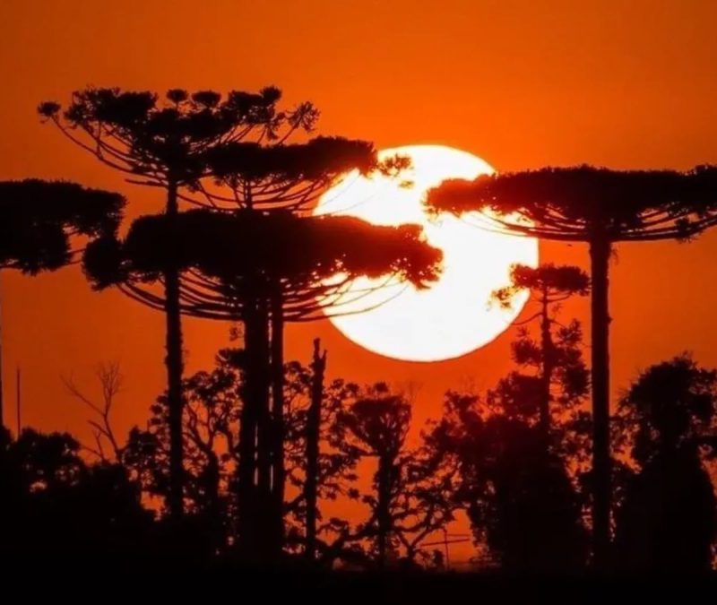 Paraná terá dias de sol e calor antes da chegada de frente fria e novas tempestades; veja previsão do tempo