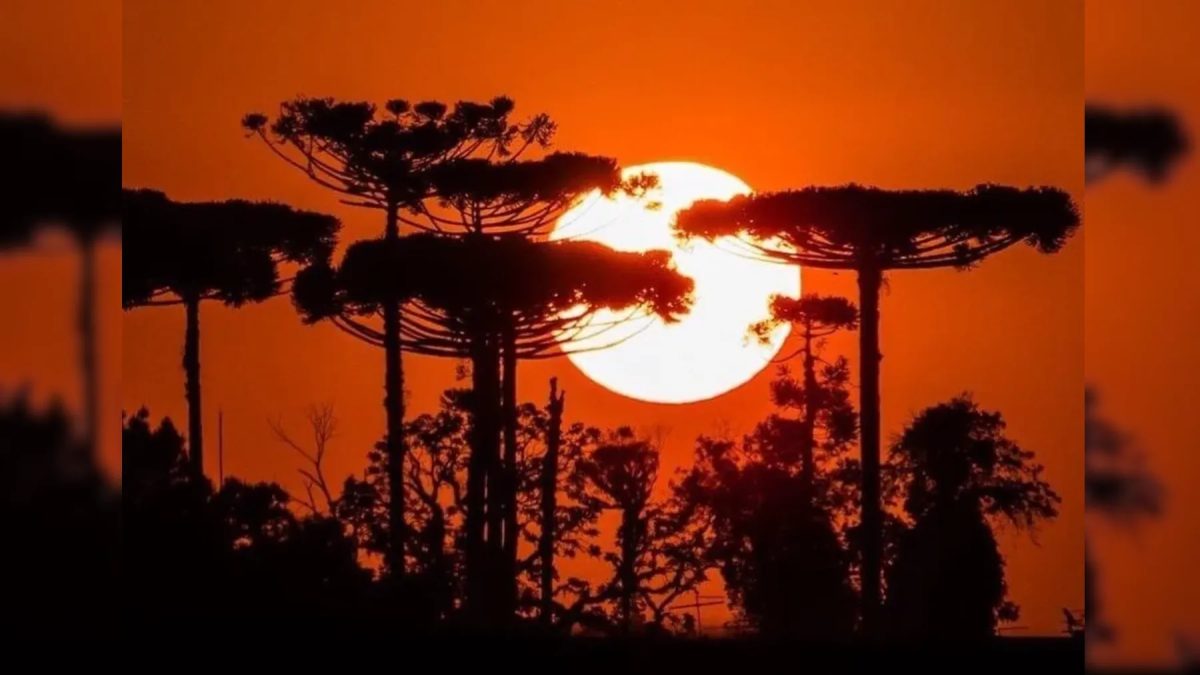 Paraná terá dias de sol e calor antes da chegada de frente fria e novas tempestades; veja previsão do tempo
