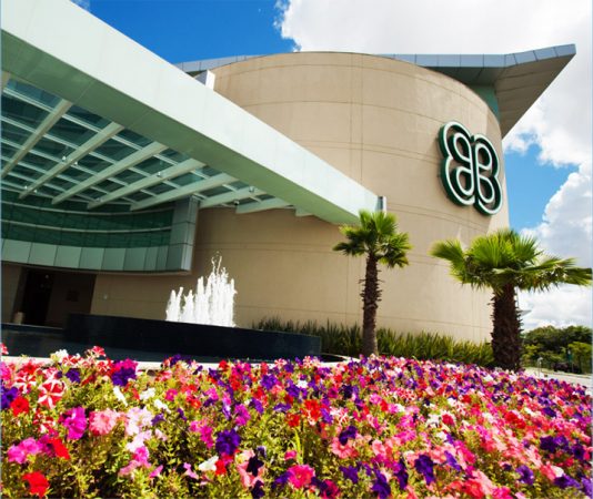 Shopping de Curitiba oferece oficinas inspiradas em Da Vinci e Van Gogh para crianças