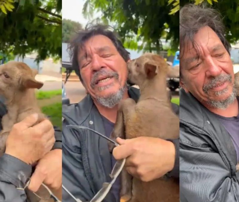 VÍDEO: filhotinho de cabra é levado por motoboy no Paraná, campanha para encontrá-lo viraliza e reencontro é filmado: ‘Fica sempre do meu lado’