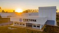 Vylor faz parceria para desenvolver milho com IA e edição genética