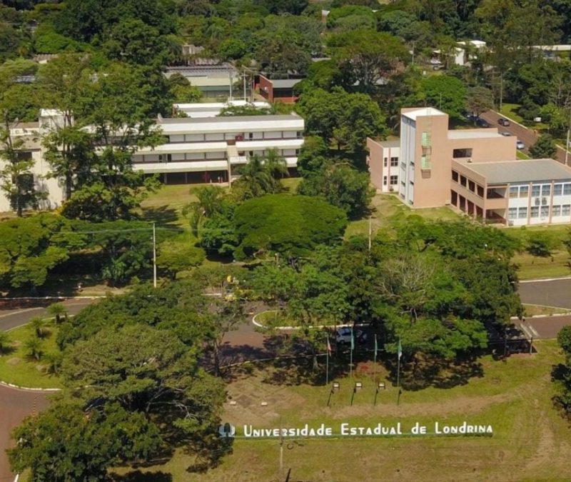 16 universidades do Paraná estão entre as 205 melhores do país; veja quais