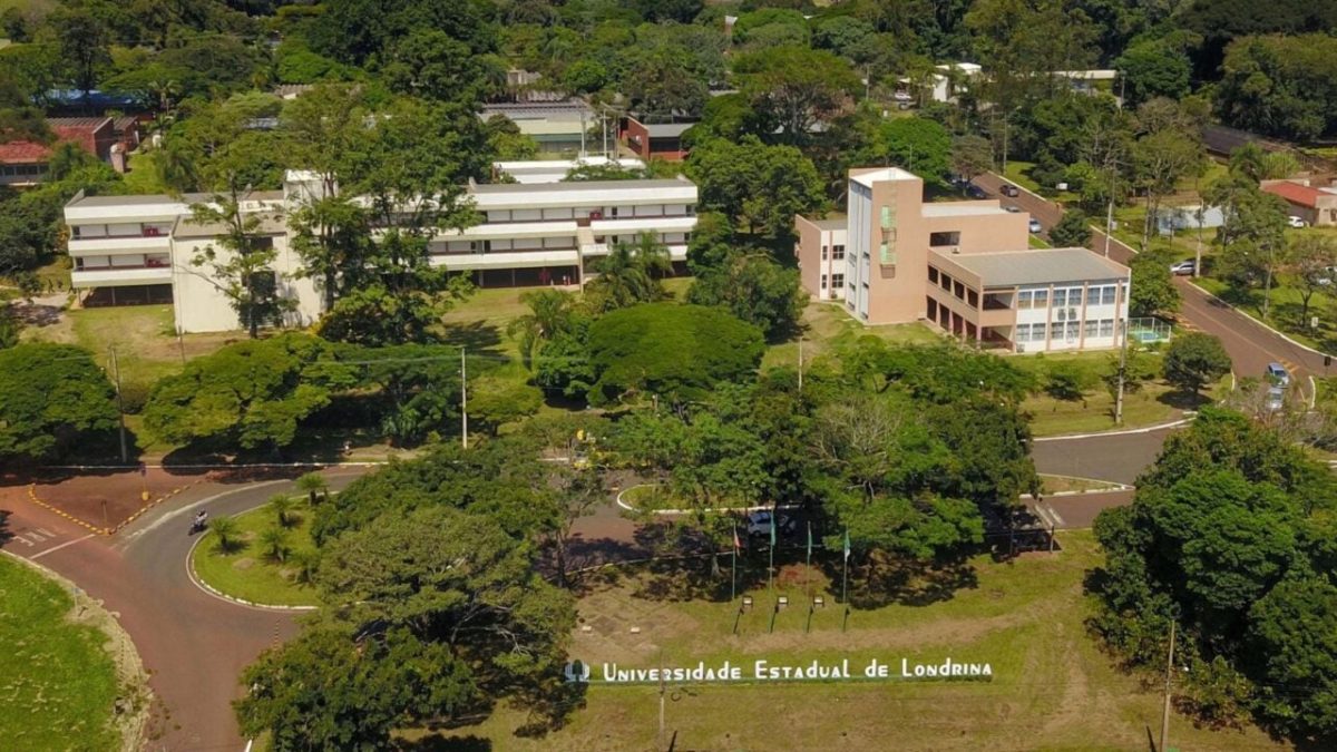 16 universidades do Paraná estão entre as 205 melhores do país; veja quais