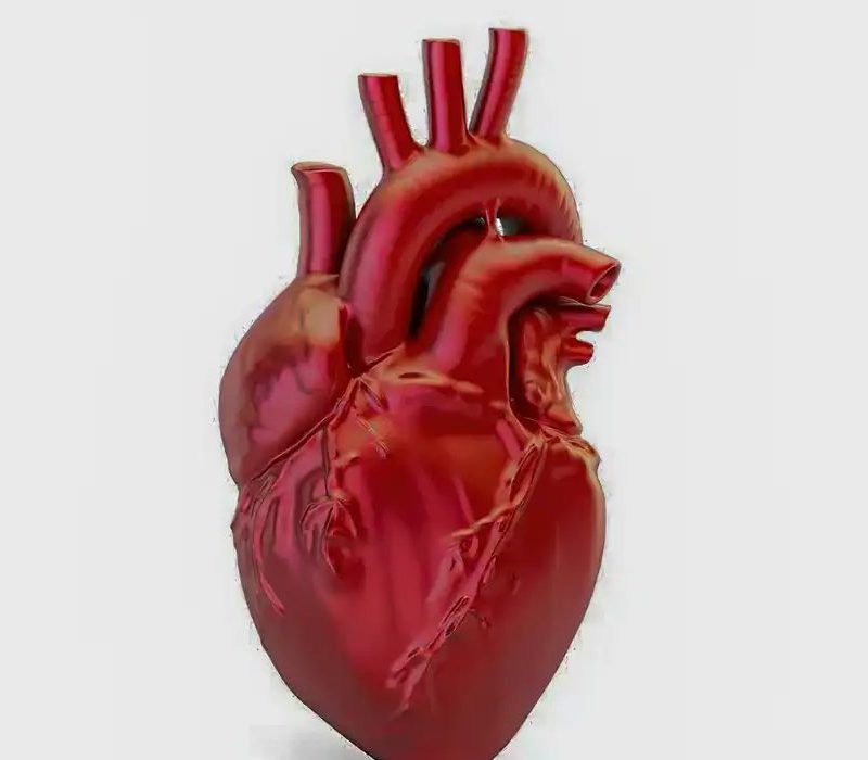 A cada 72 segundos, uma pessoa morre por doença cardiovascular no país