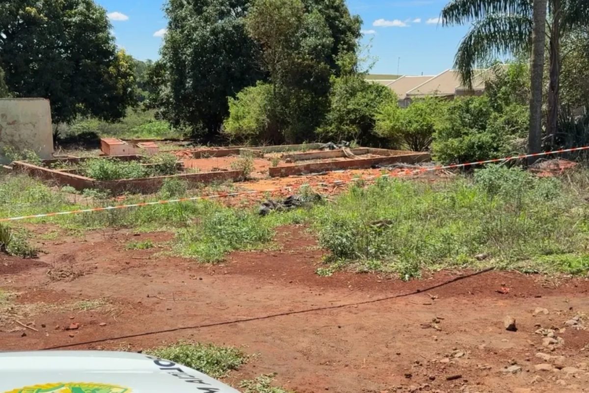 Adolescente venezuelana de 14 anos é encontrada morta em mata no Paraná; padrasto, apontado como suspeito, morre em confronto com a PM