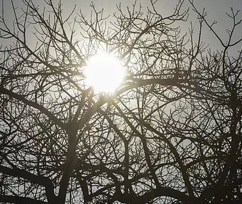 Alerta de baixa umidade é divulgado para 16 municípios de Alagoas; veja regiões