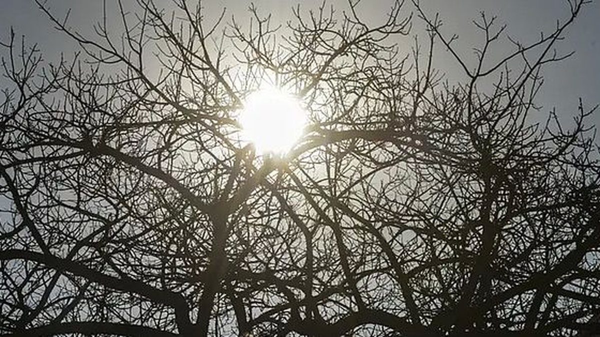 Alerta de baixa umidade é divulgado para 16 municípios de Alagoas; veja regiões