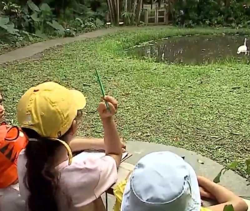 Antigo lixão vira reserva com mais de 200 animais e aulas de educação ambiental em São Luís, no MA