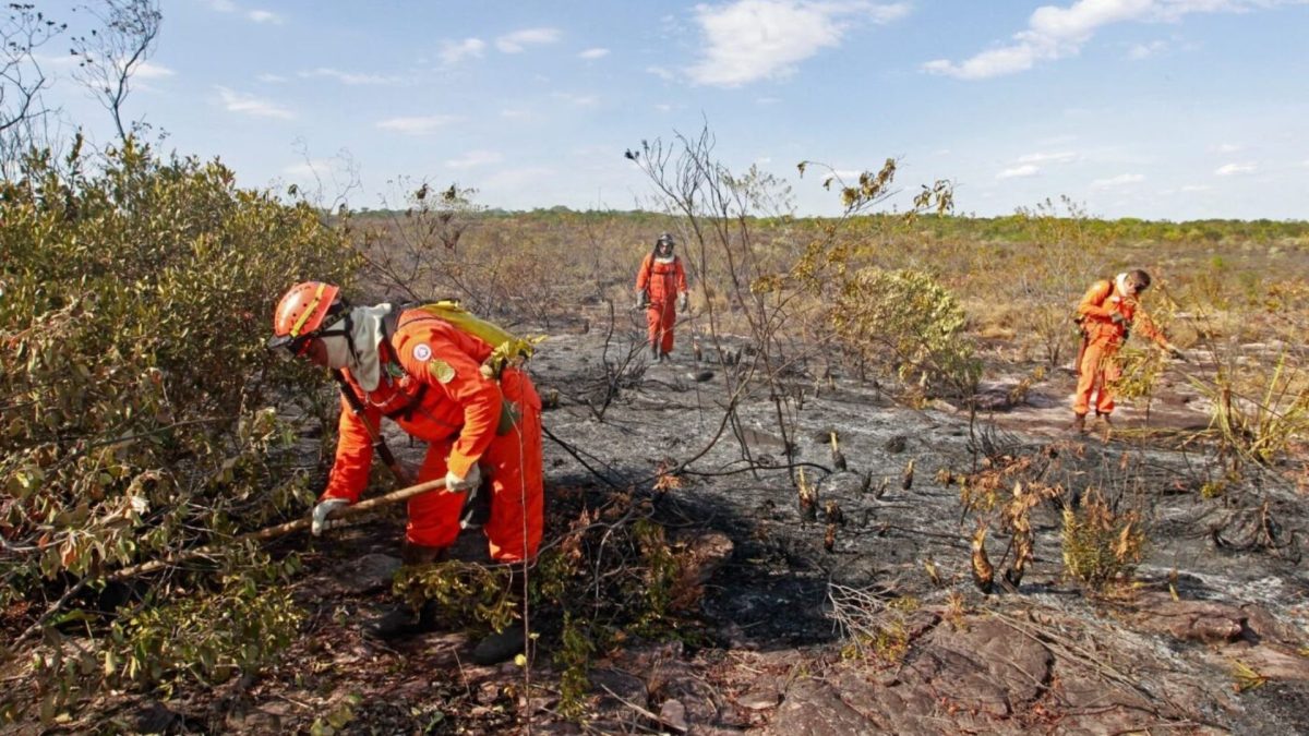 Bahia amplia alertas contra o El Niño em todo o estado e prevê calor extremo de até 41 ºC