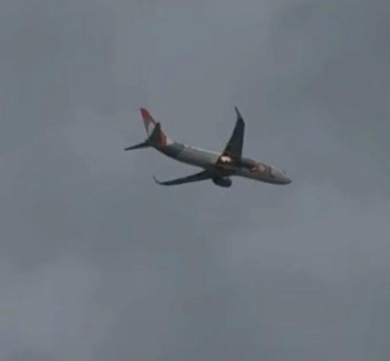‘Birdstrike’: por que Aeroporto do Recife atrai tantas aves e tem 2º maior número de incidentes com aviões e pássaros no NE