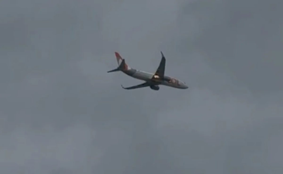 'Birdstrike': por que Aeroporto do Recife atrai tantas aves e tem 2º maior número de incidentes com aviões e pássaros no NE