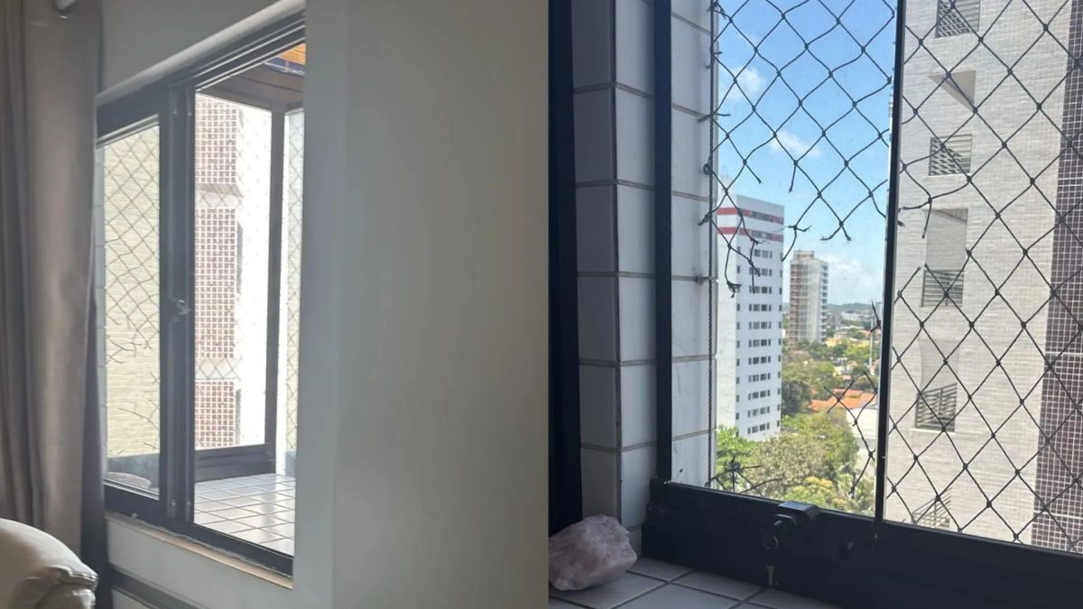 Cadela é encontrada morta em garagem de prédio em Olinda; tutora denuncia que animal foi jogado do 9º andar