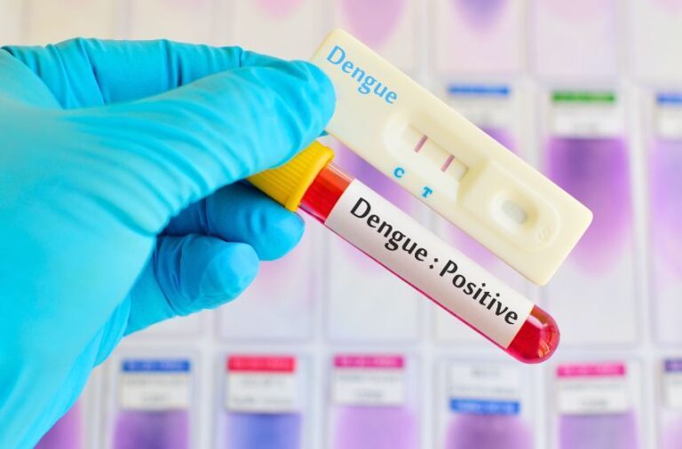 Casos de dengue sobem 76,8% em São Luís em 2026