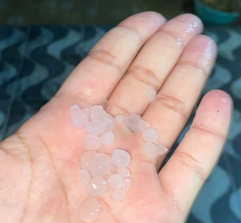 Chuva de granizo impressiona moradores de povoado de Petrolina, no Sertão de PE