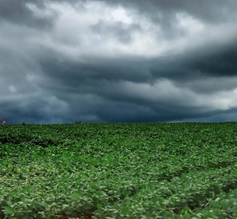 Ciclone extratropical coloca o Paraná em alerta para tempestades com ventos de até 100km/h