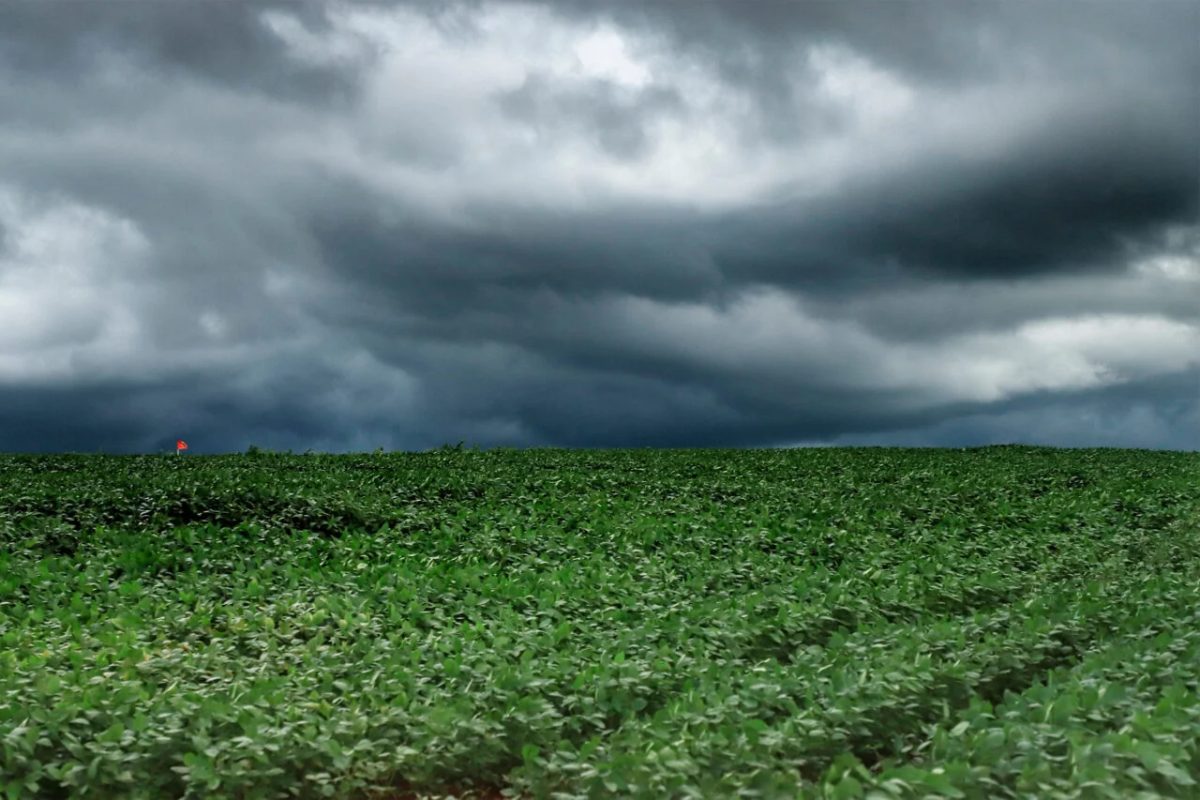 Ciclone extratropical coloca o Paraná em alerta para tempestades com ventos de até 100km/h