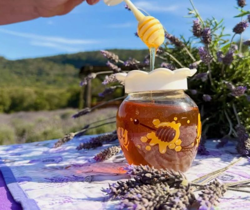 Cidade gaúcha apresenta mel de lavanda em evento que tem xampu e até cerveja feita com a flor