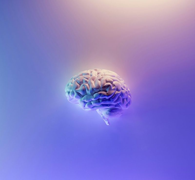 Cientistas conectam 3 minicérebros e registram resposta a estímulos