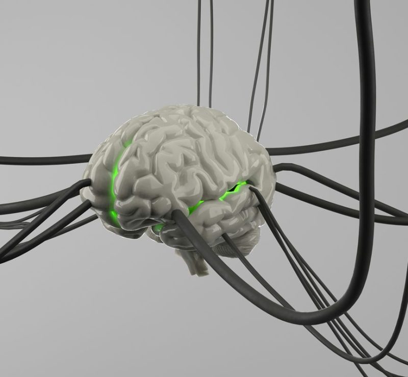 Cientistas identificam alvo no cérebro para conter inflamação no Alzheimer
