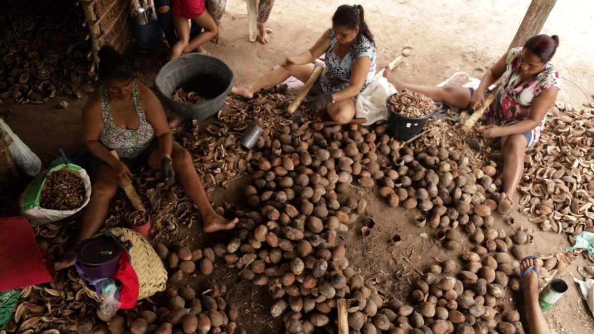 Com apoio da ciência, quebradeiras de coco do Maranhão produzem alimentos funcionais e veganos