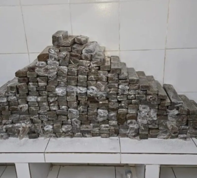 Dois homens são presos com 283 kg de maconha dentro de caminhão na PE-16, no Recife