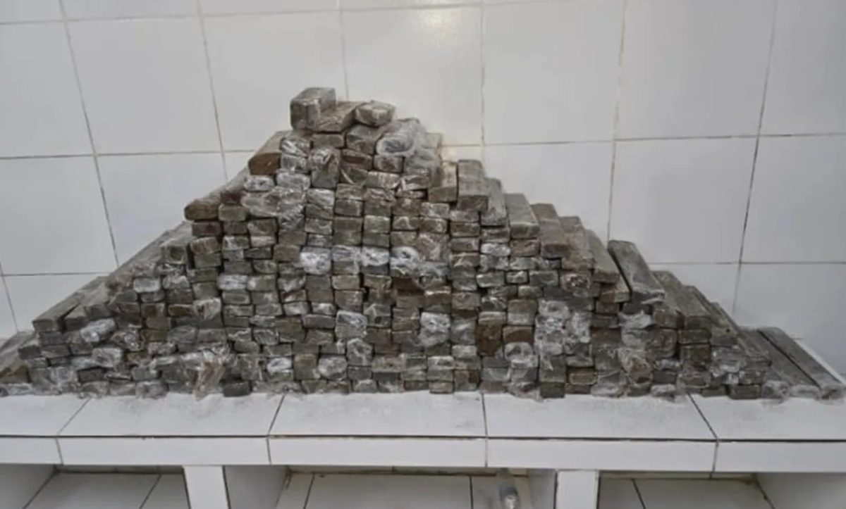 Dois homens são presos com 283 kg de maconha dentro de caminhão na PE-16, no Recife