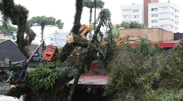 Em três dias de vendavais, 34 cidades do Paraná registram danos