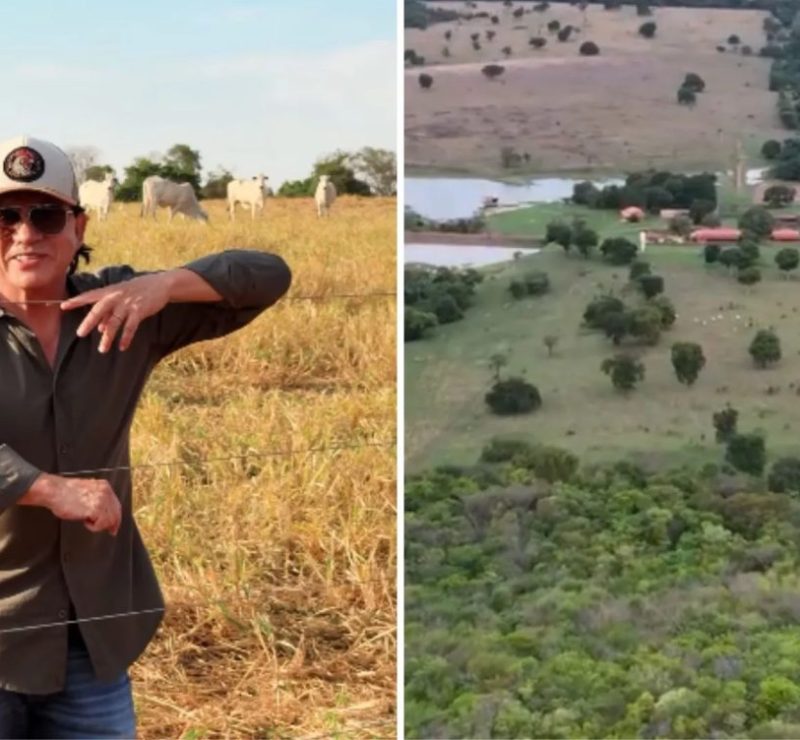 Fazenda Galopeira: conheça propriedade de Chitãozinho com 2 mil hectares em Goiás