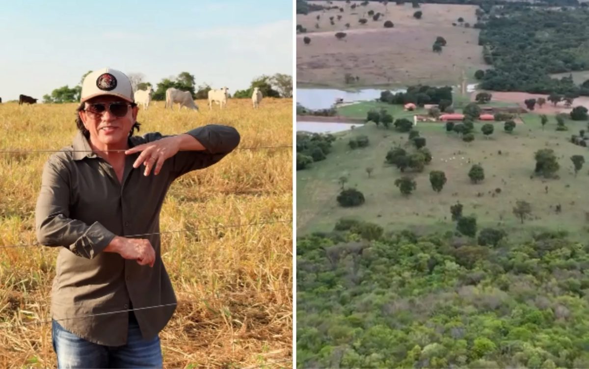 Fazenda Galopeira: conheça propriedade de Chitãozinho com 2 mil hectares em Goiás