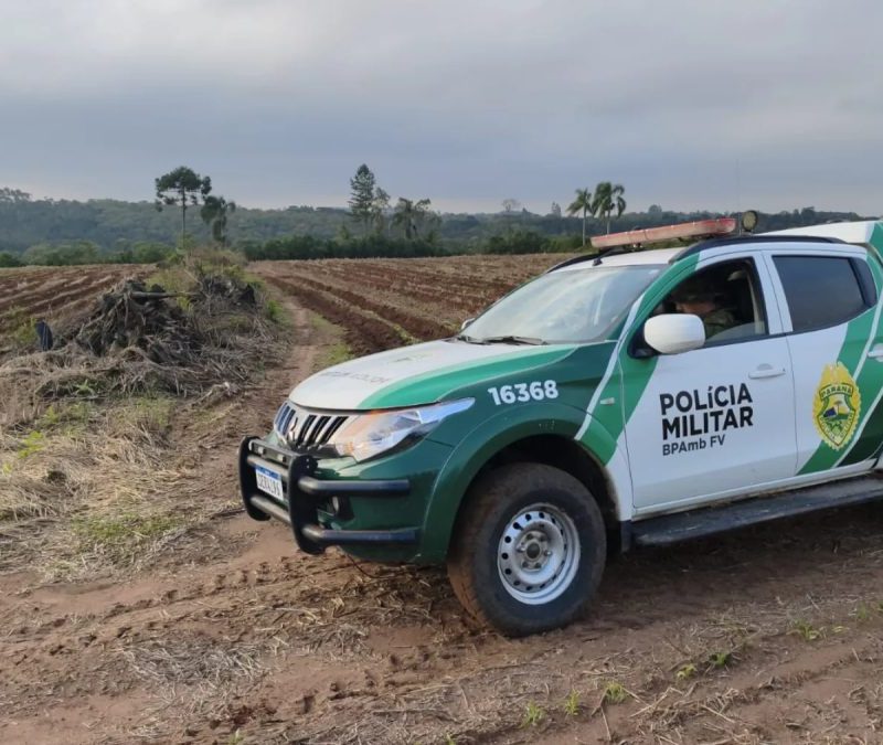 Fazendeiro é multado em R$ 84 mil por destruir floresta nativa para abrir espaço para plantação, no Paraná