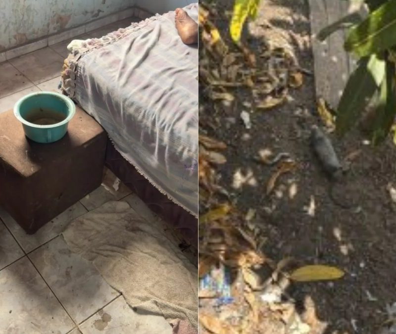 Filho é preso suspeito de abandonar mãe de 96 anos em casa com ratos mortos no Maranhão