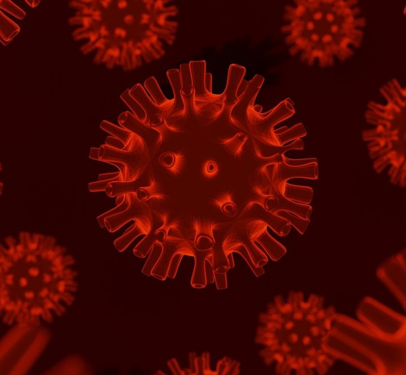 França registra a primeira infecção humana pelo vírus Shamonda no mundo