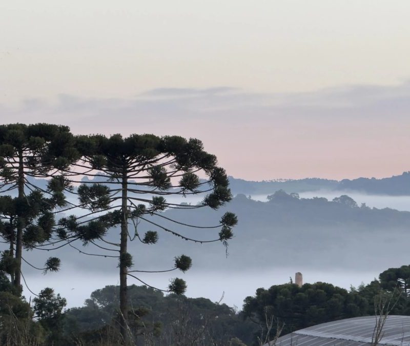 Frente fria pode provocar temperaturas próximas a 0ºC no Paraná em pleno outubro; veja quando, onde e a previsão do tempo