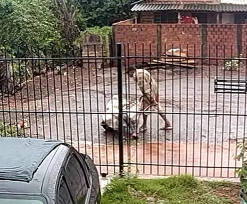 Homem confirma ter carregado mulher desacordada dentro de saco de cal no Paraná, mas nega agressões: ‘Deixei ela lá mesmo’
